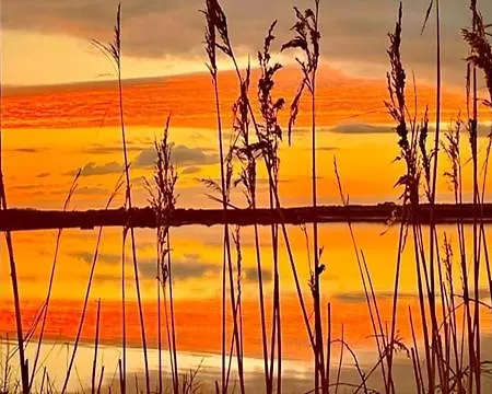 Holiday home Sutton Coach House *