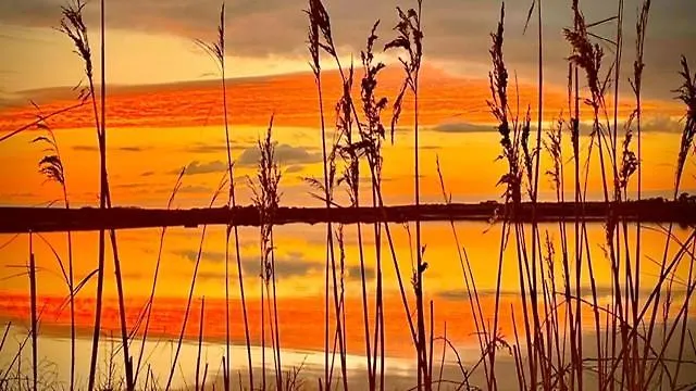 Casa de Férias Sutton Coach House *